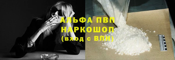 дмт Магас