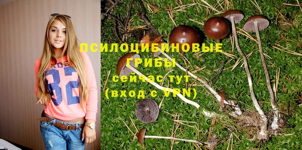дмт Магас